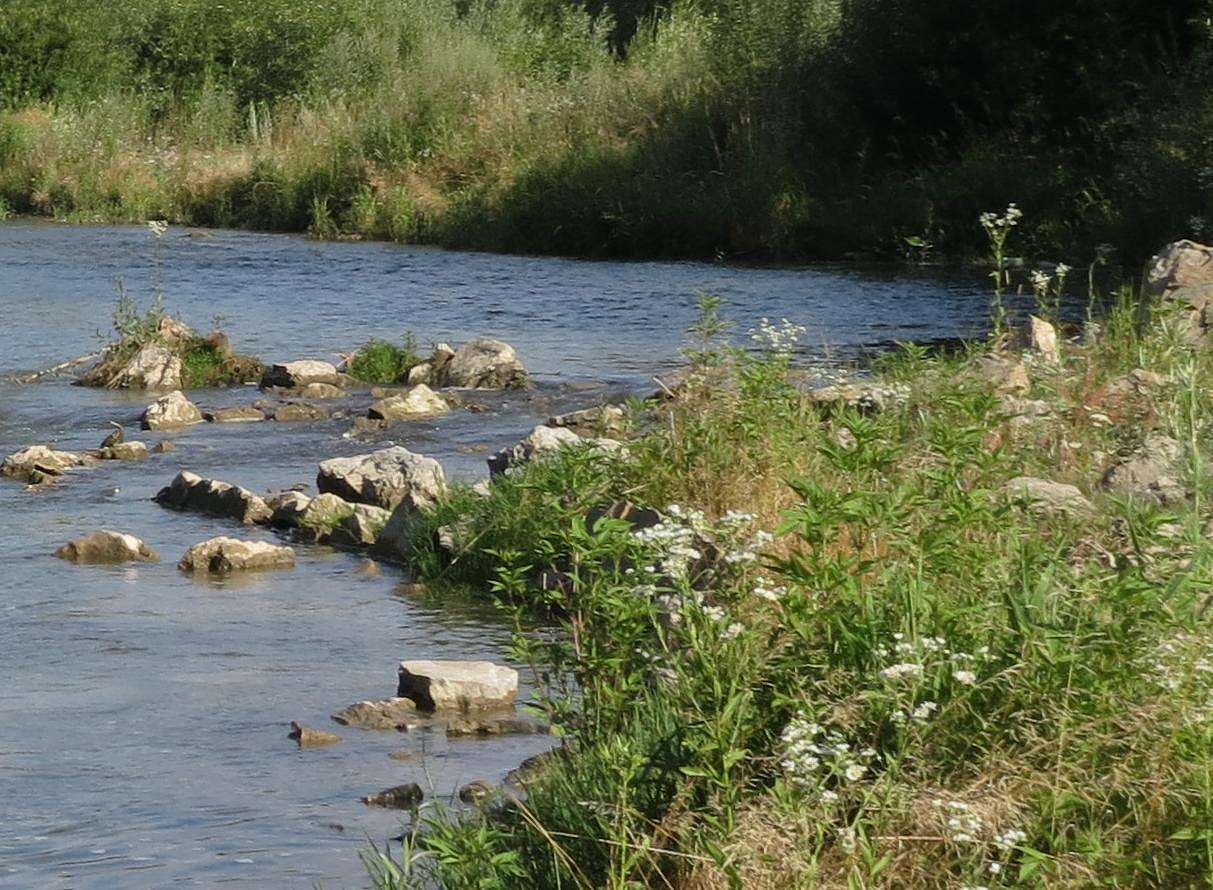ОКОЛИЦІ МІСТА - Хирів