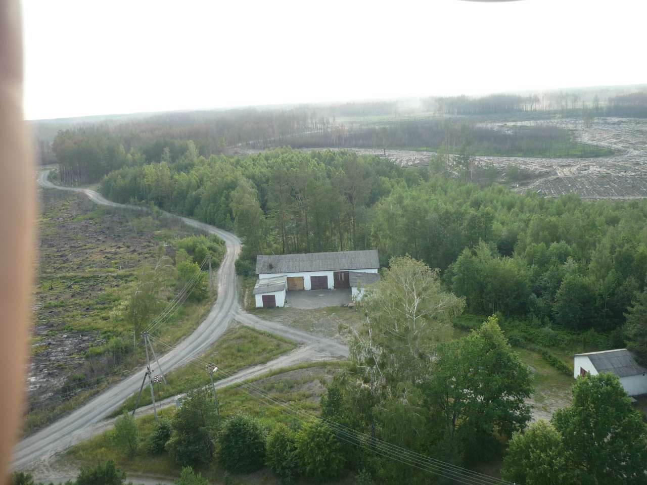 Біловізьке лісництво - Біловіж