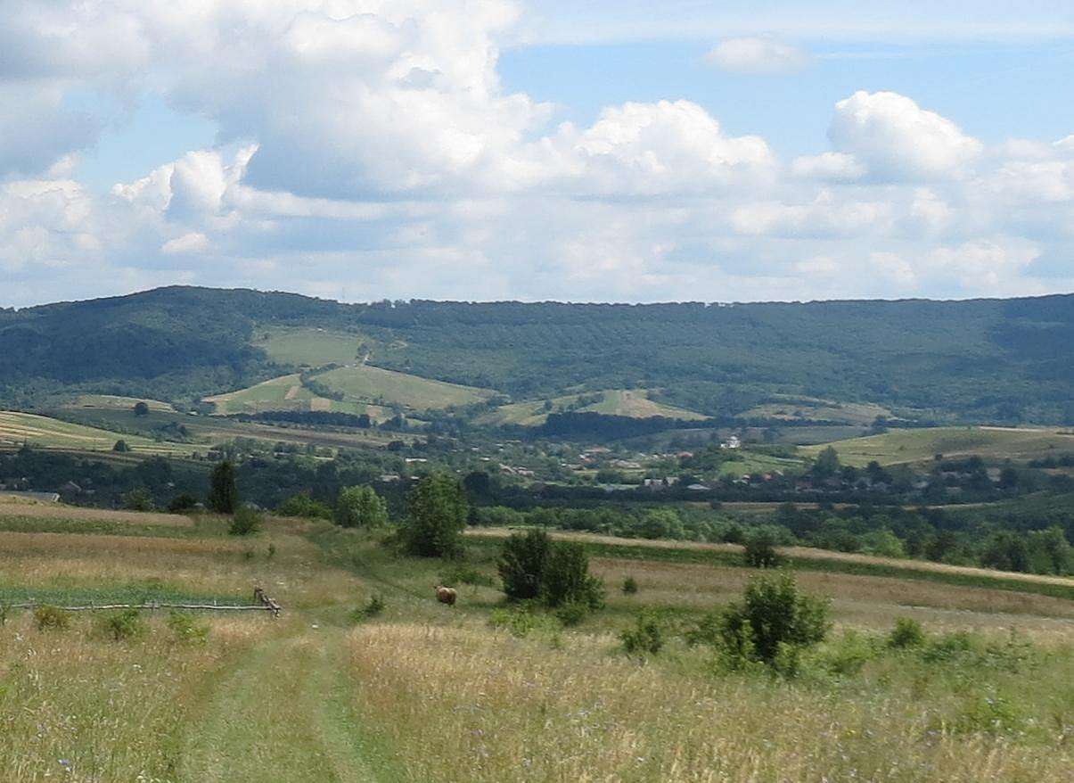 ПАНОРАМИ ОКОЛИЦЬ - Добромиль