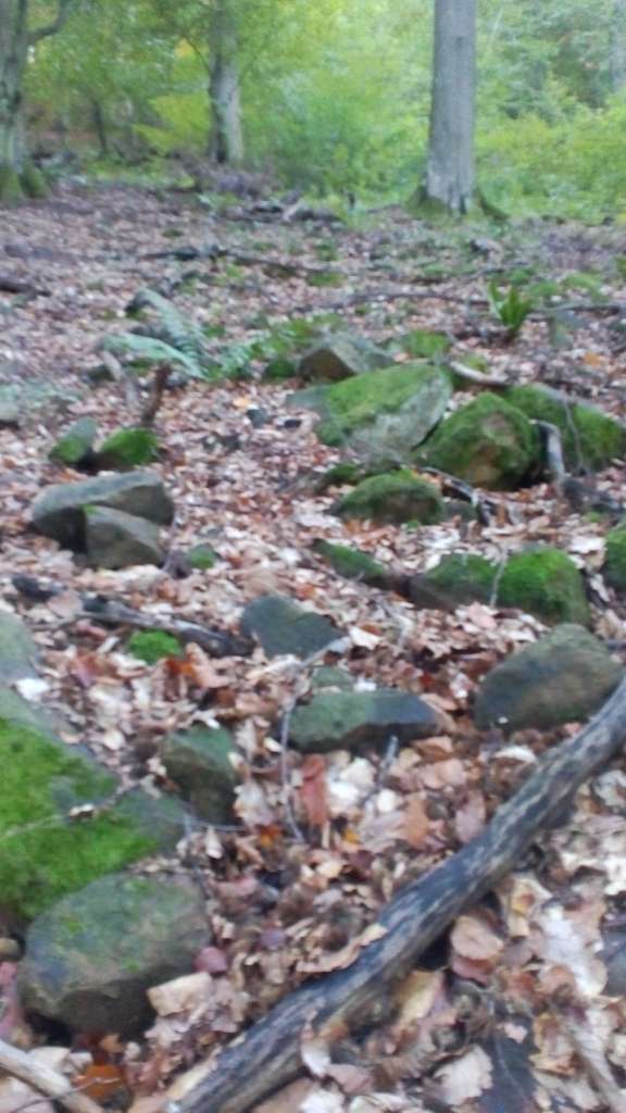 НПП 'СИНЕВИР' - Синевирська Поляна