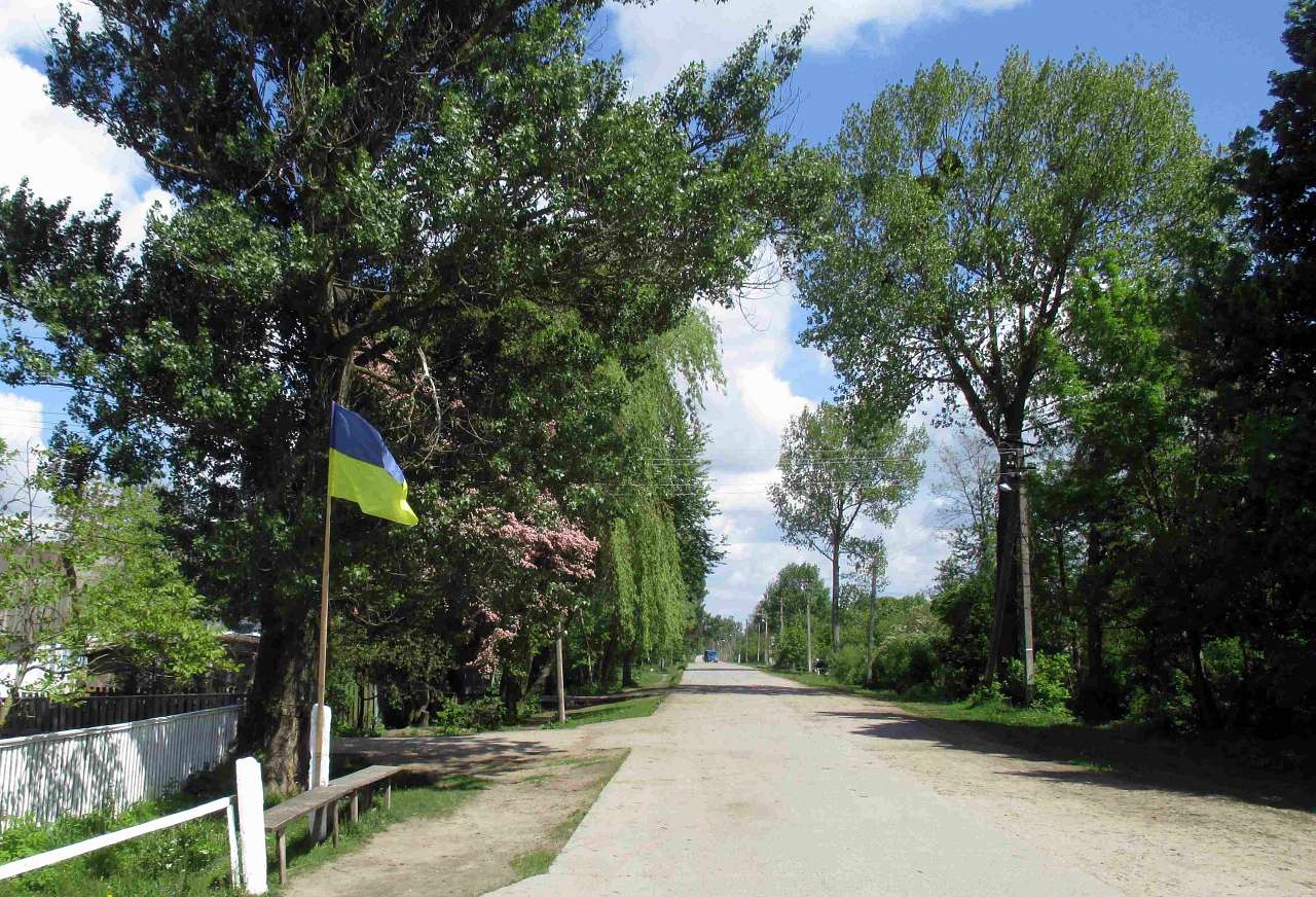 Літо - Головлі