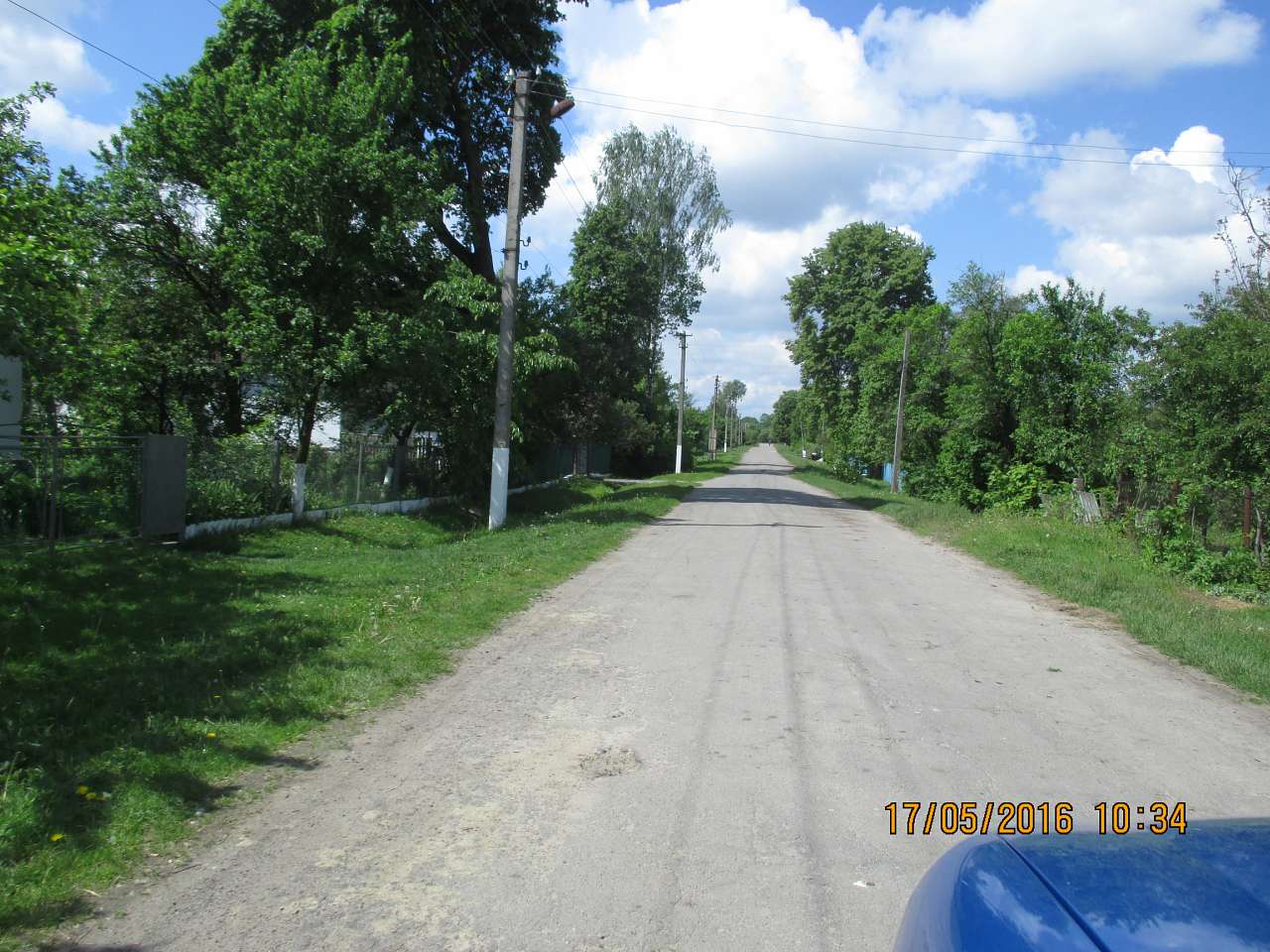 Літо - Головлі