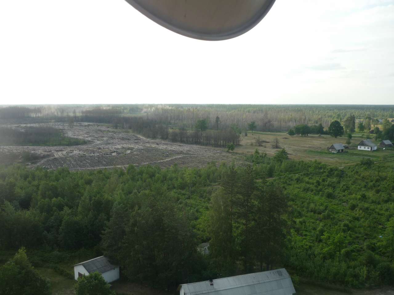 Біловізьке лісництво - Біловіж