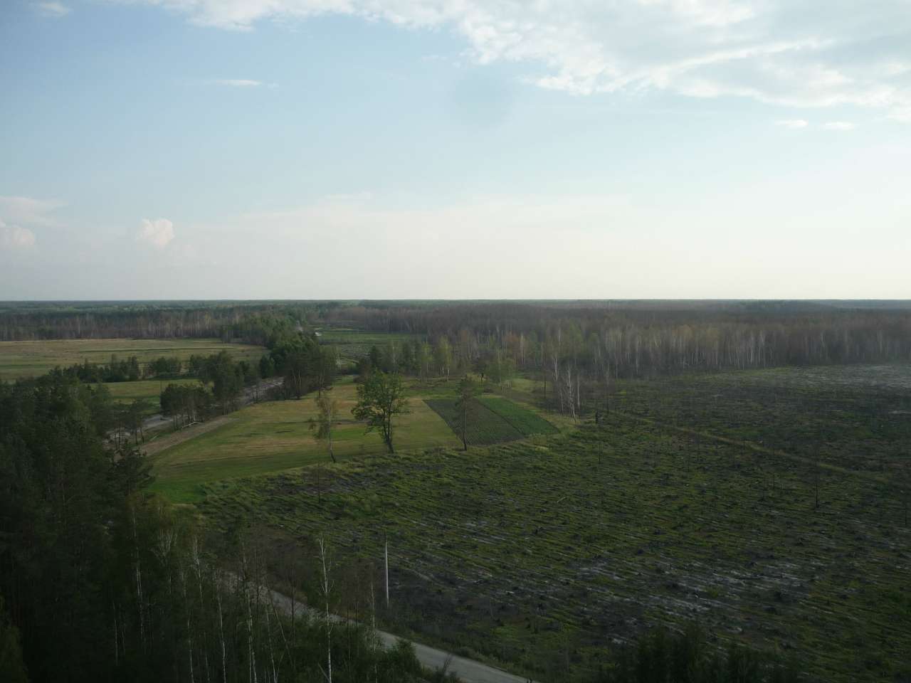 Біловізьке лісництво - Bilovizh