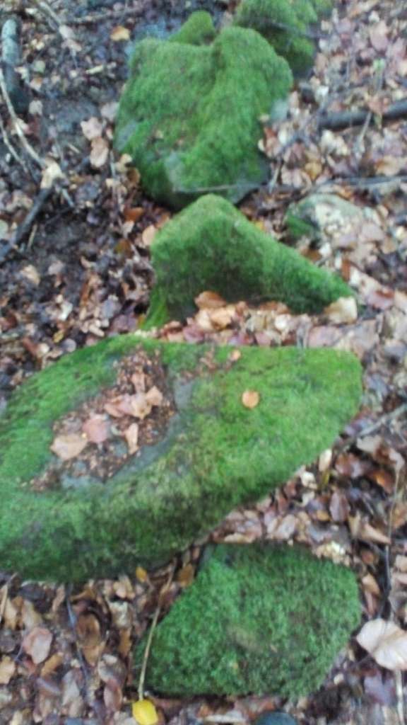 НПП 'СИНЕВИР' - Синевирська Поляна