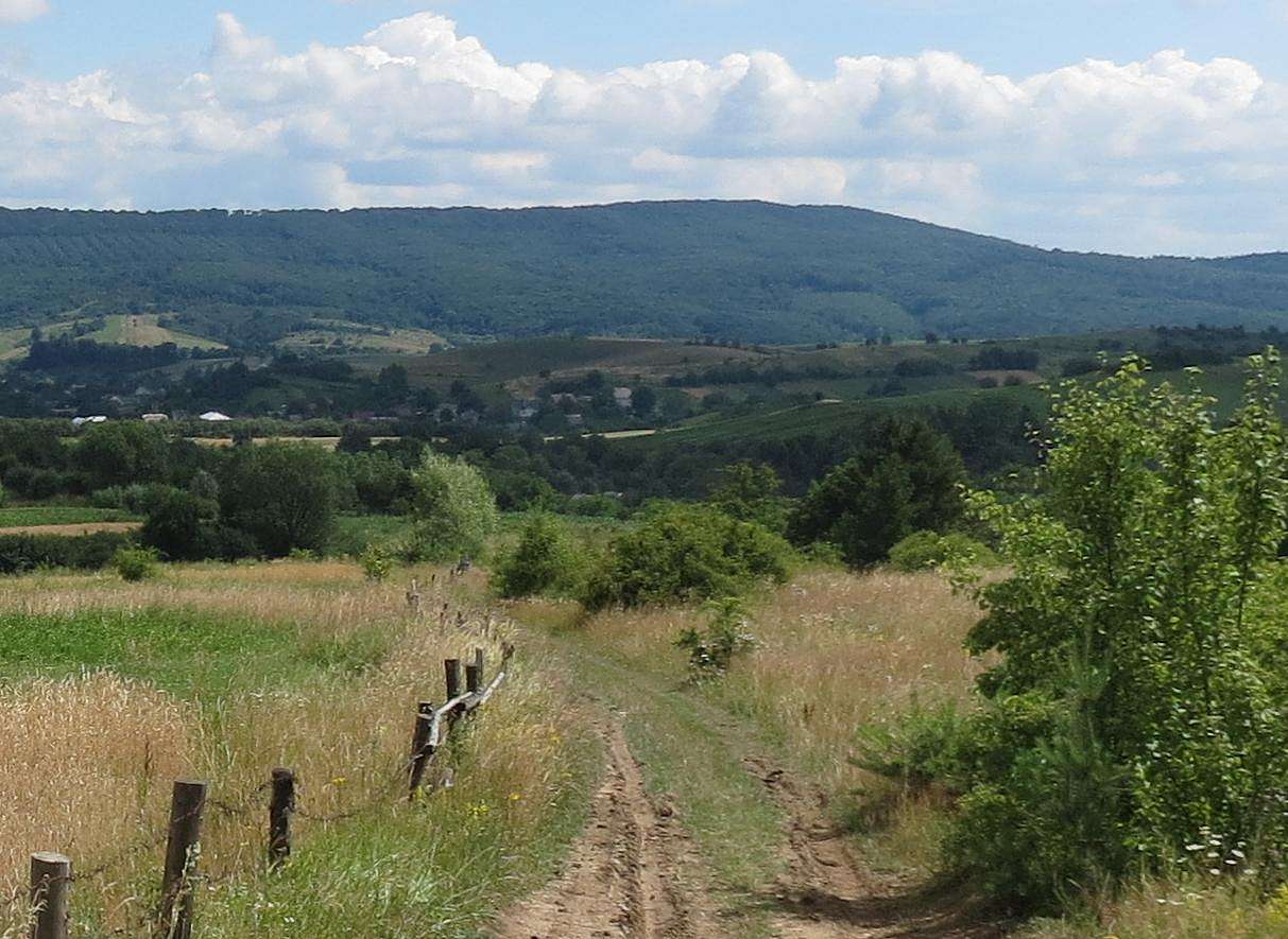 ПАНОРАМИ ОКОЛИЦЬ - Добромиль