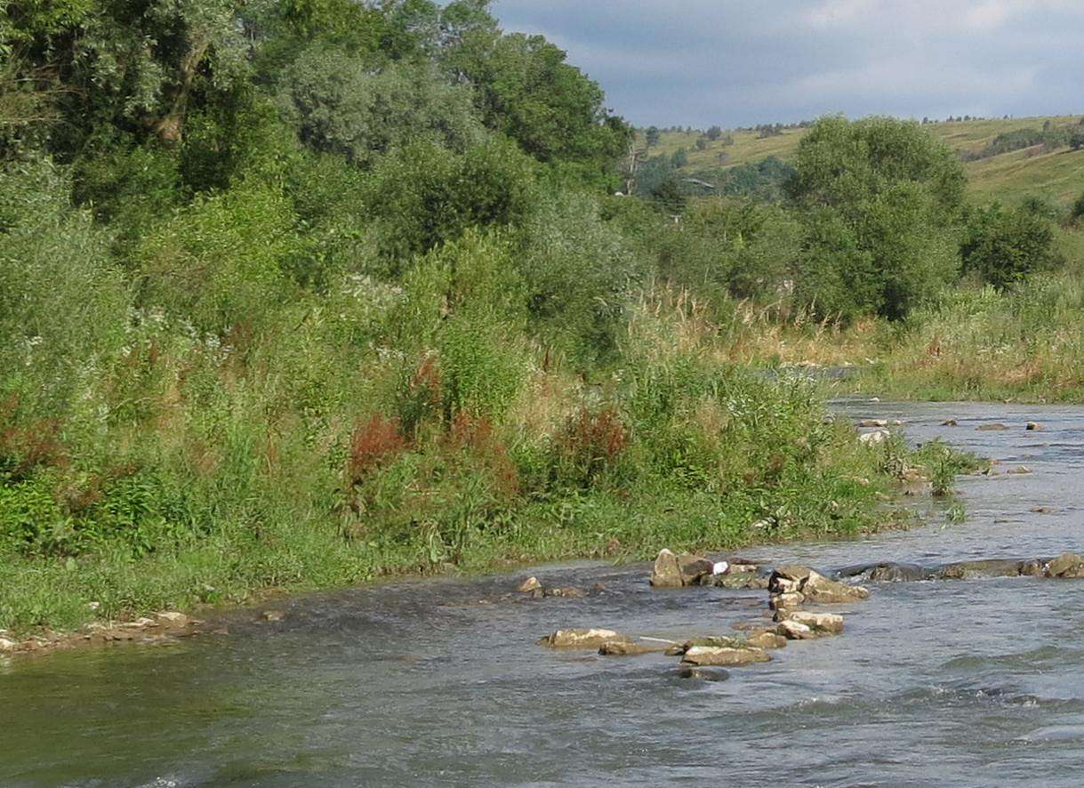 ОКОЛИЦІ МІСТА - Хирів