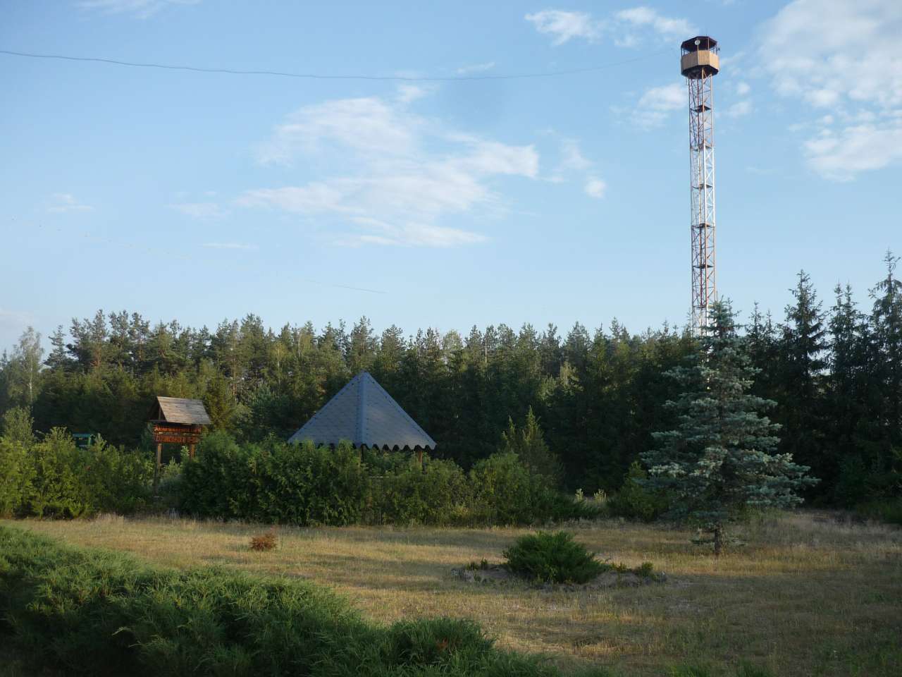 Біловізьке лісництво - Bilovizh