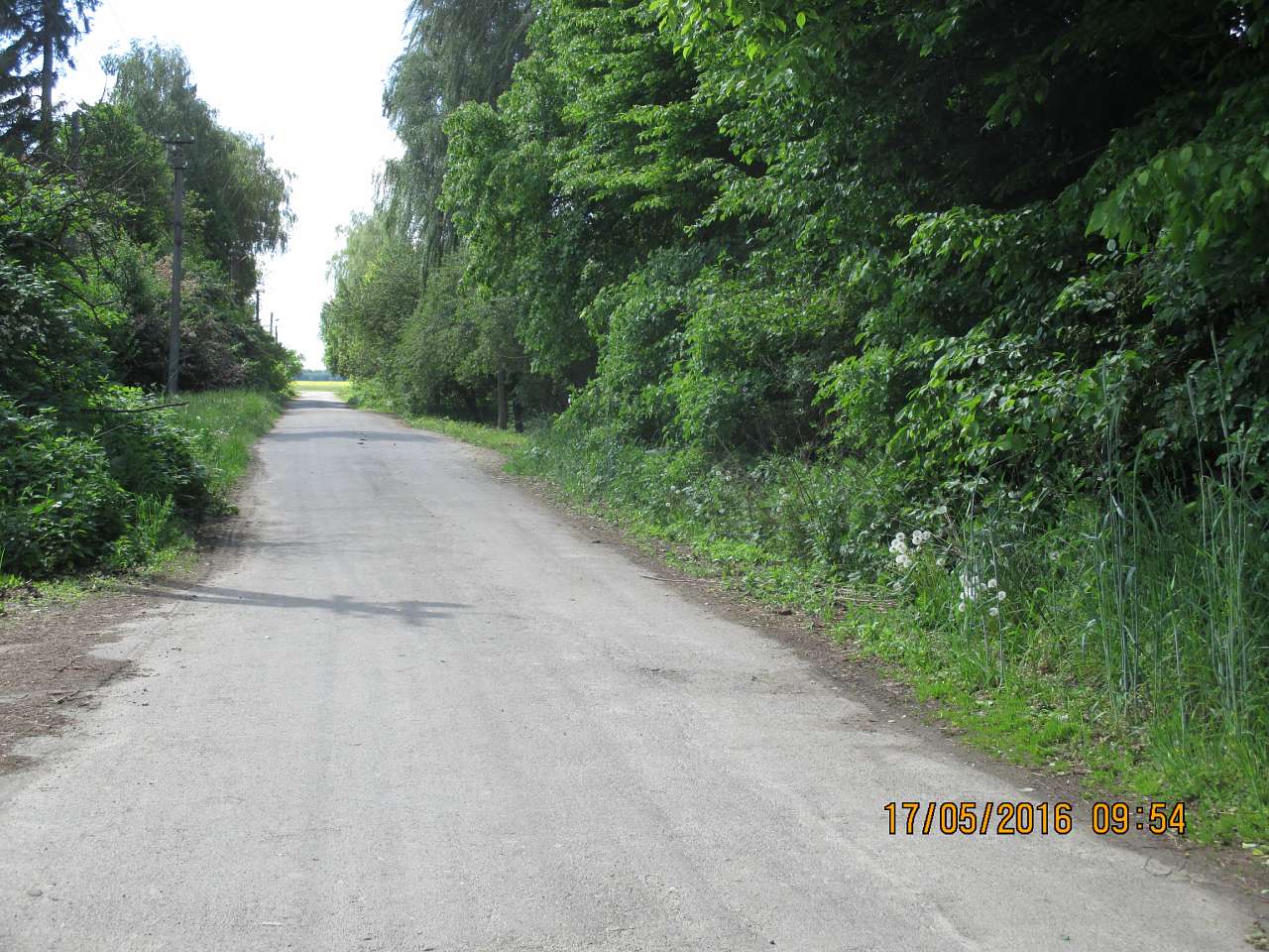 Літо - Нижні Головлі