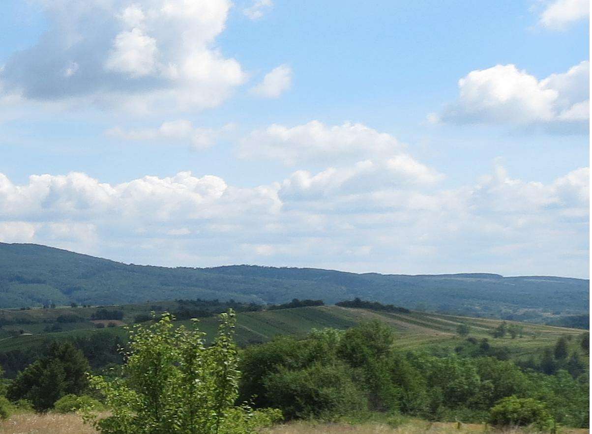 ПАНОРАМИ ОКОЛИЦЬ - Добромиль