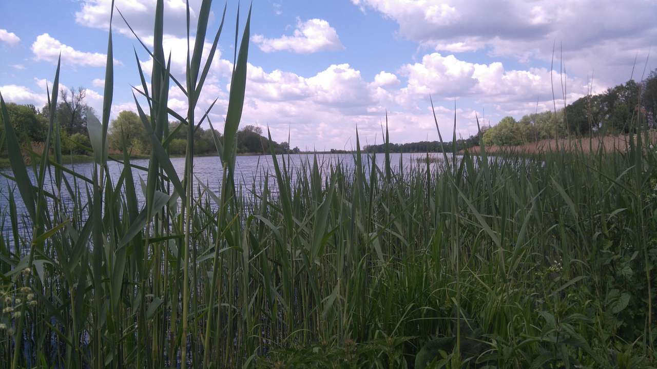 Пиків - Пиків