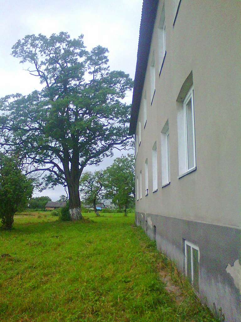 школа - Держів