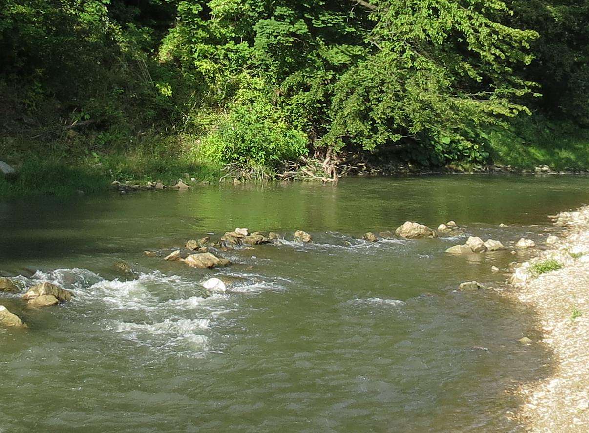 ОКОЛИЦІ МІСТА - Хирів