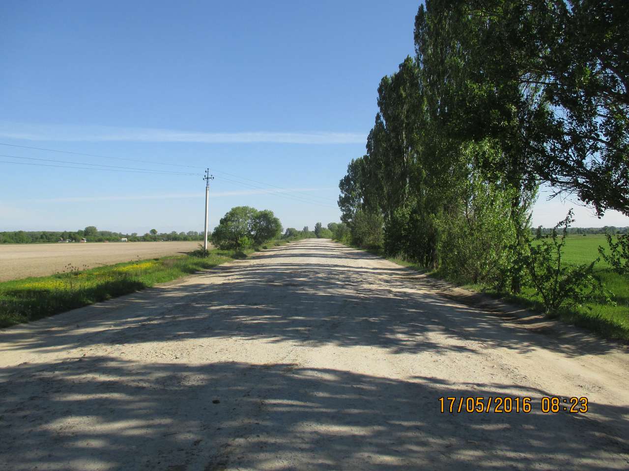 Літо - Головли