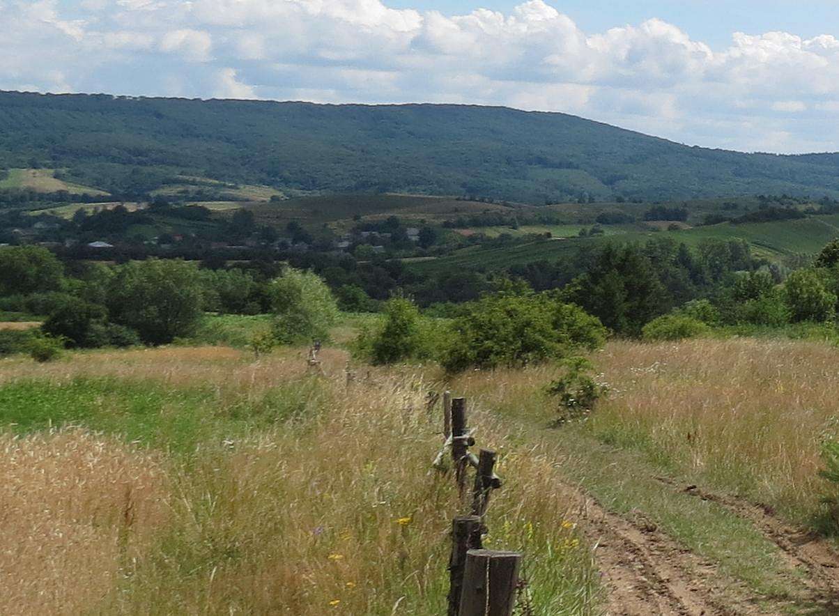 ПАНОРАМИ ОКОЛИЦЬ - Добромиль