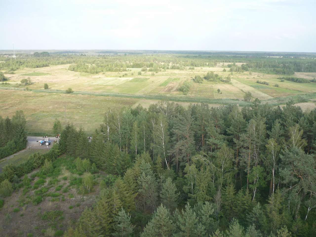 Біловізьке лісництво - Беловеж