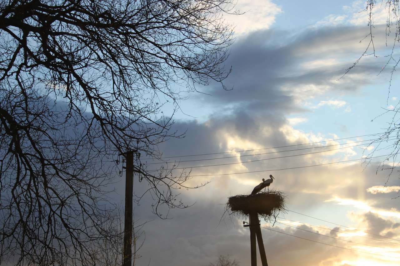 кладьківка - Кладьківка