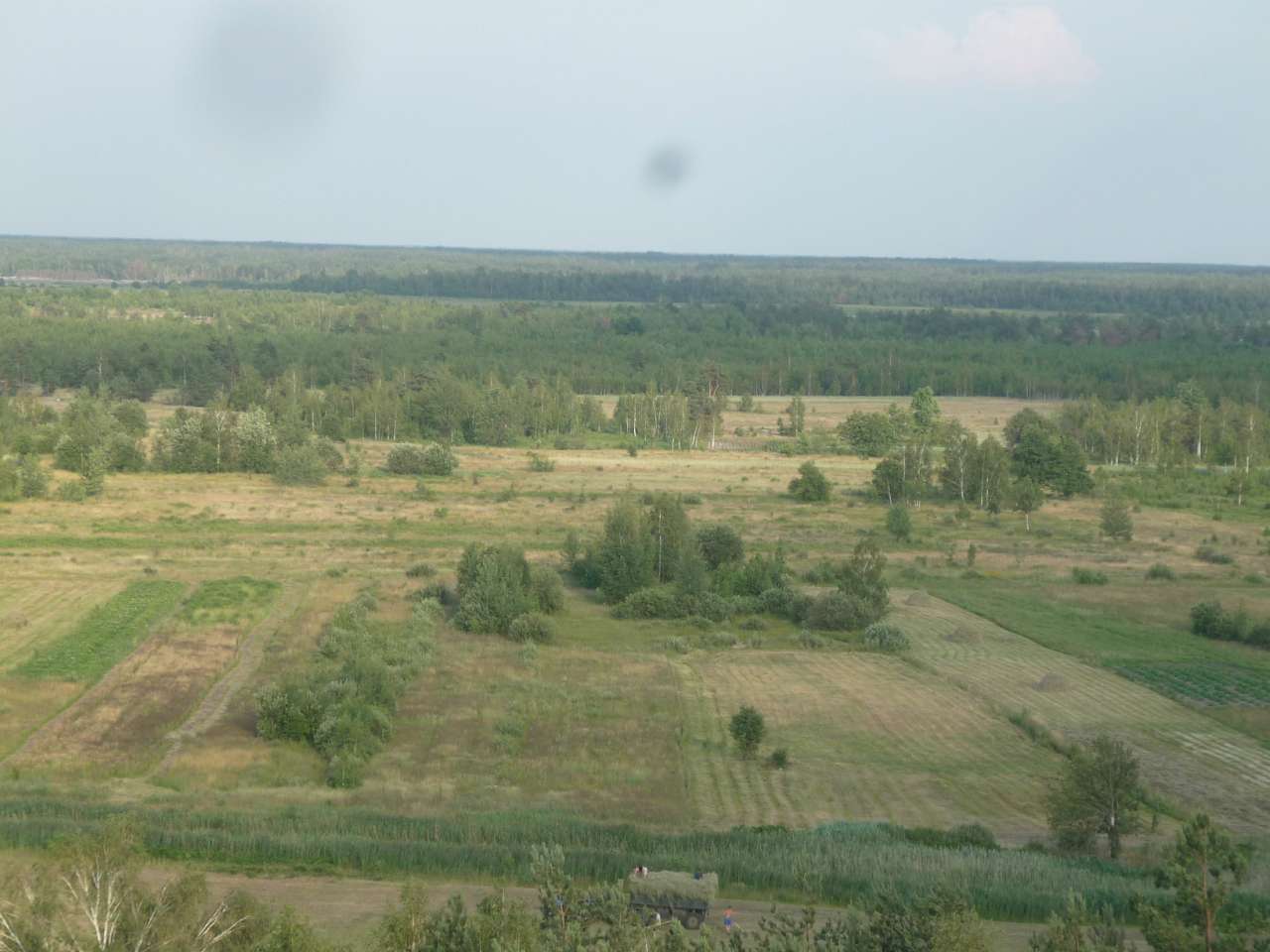 Біловізьке лісництво - Біловіж