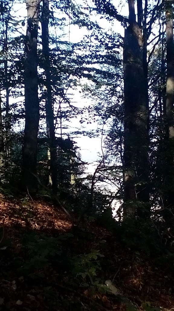 НПП 'СИНЕВИР' - Синевирська Поляна