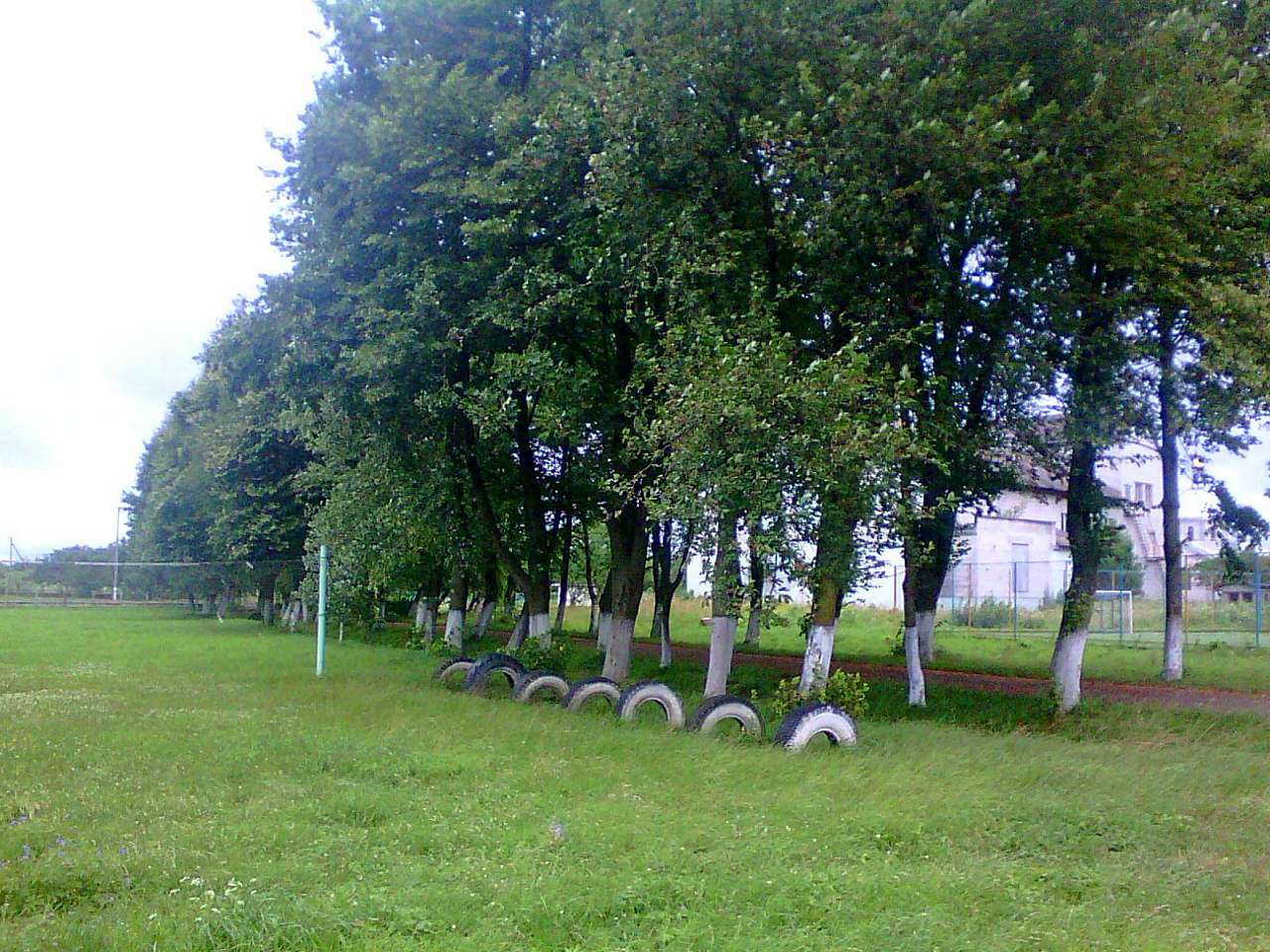 школа - Держев