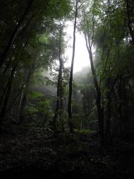 Соколине з panoramio.com (ч.2)