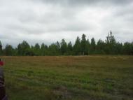 Сошники - Останні фото