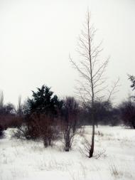 Шкільне з panoramio.com