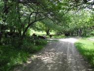 Чайковське з panoramio.com (ч.2)