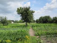 Марківці з panoramio.com