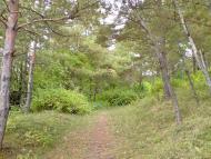 Бережани з panoramio.com