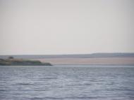 Щорсове - Останні фото