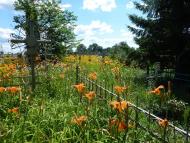 Кравчиха з panoramio.com