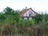 Бірки - Останні фото