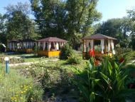 Щастя з panoramio.com