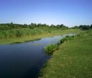 Шами з panoramio.com