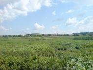 Миролюбівка з panoramio.com