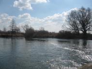 Гонятичі з panoramio.com