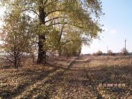 Дружелюбівка - Останні фото