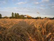 Мельники-Річицькі з panoramio.com