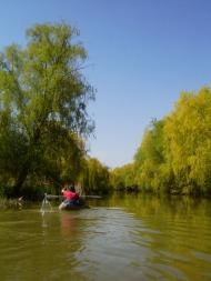 Вилкове - Останні фото