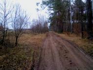 Маневичі з panoramio.com