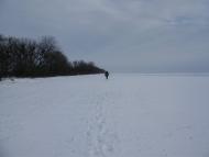 Привітне з panoramio.com