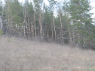 Івано-Михайлівка - Останні фото