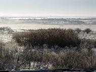 Шкільне з panoramio.com