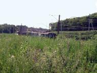 Парне з panoramio.com