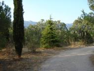 Кацівелі з panoramio.com