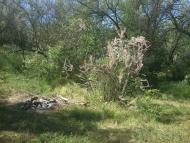 Орджонікідзе з panoramio.com (ч.2)