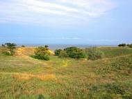 Красна Коса - Останні фото