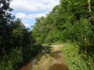Княгиня з panoramio.com