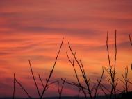 Вілюничі з panoramio.com